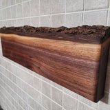 Black Walnut Full Live Edge Magnetic Knife Holder (J)