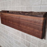 Black Walnut Full Live Edge Magnetic Knife Holder (G)