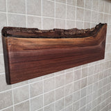Black  Walnut Full Live Edge Magnetic Knife Holder (I)