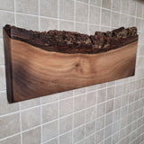Black Walnut Full Live Edge Magnetic Knife Holder (H)