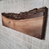 Black Walnut Full Live Edge Magnetic Knife Holder (H)