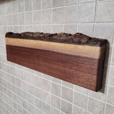 Black Walnut Full Live Edge Magnetic Knife Holder (F)